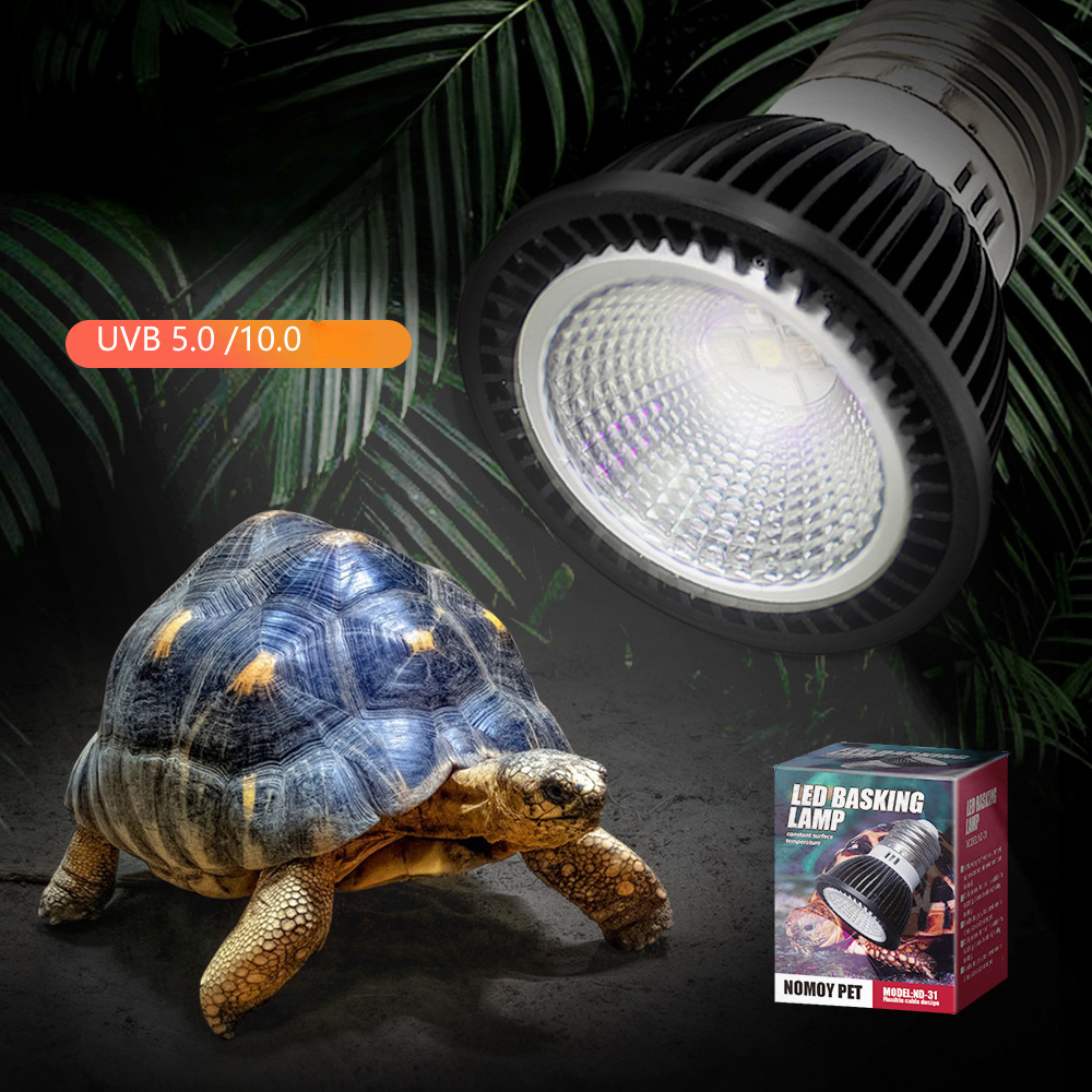 Calcium Powder Reptile - Reptile 110/220V UVB+UVA Light Energy-Saving Eye