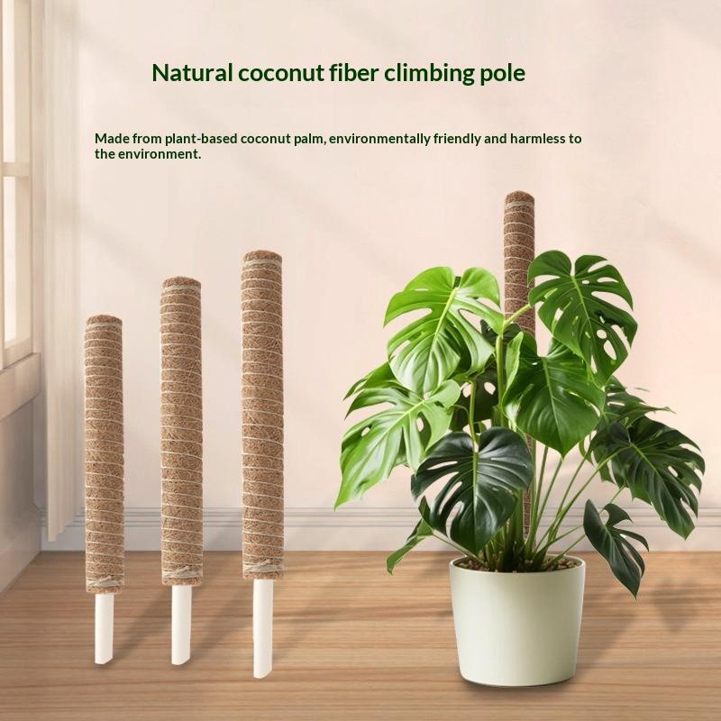 Vine Climbing Plastic - 1Pcs Plant Growth Traction Rod Plant