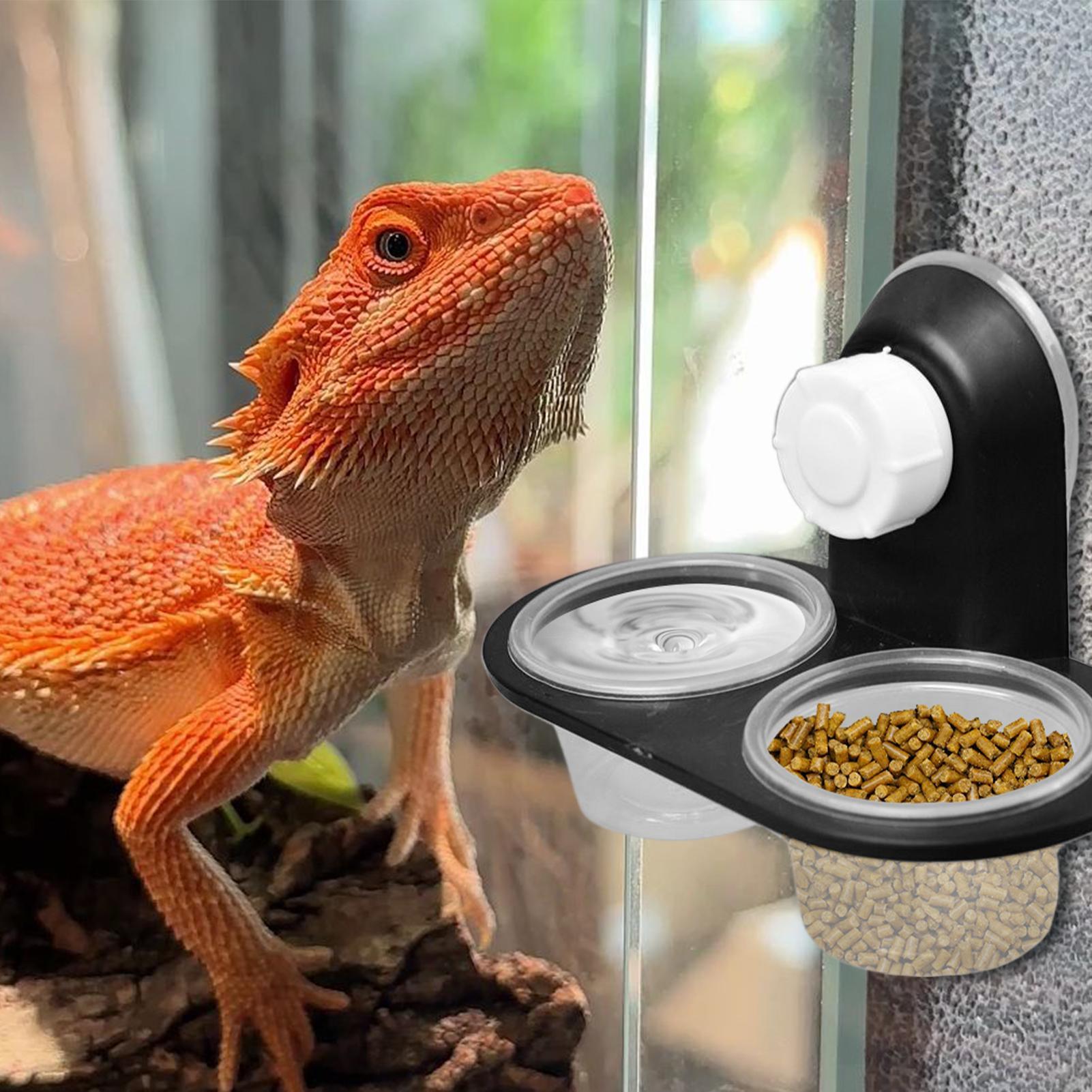 Water Dish Reptile - Gecko Food Dish Gecko Water Dish