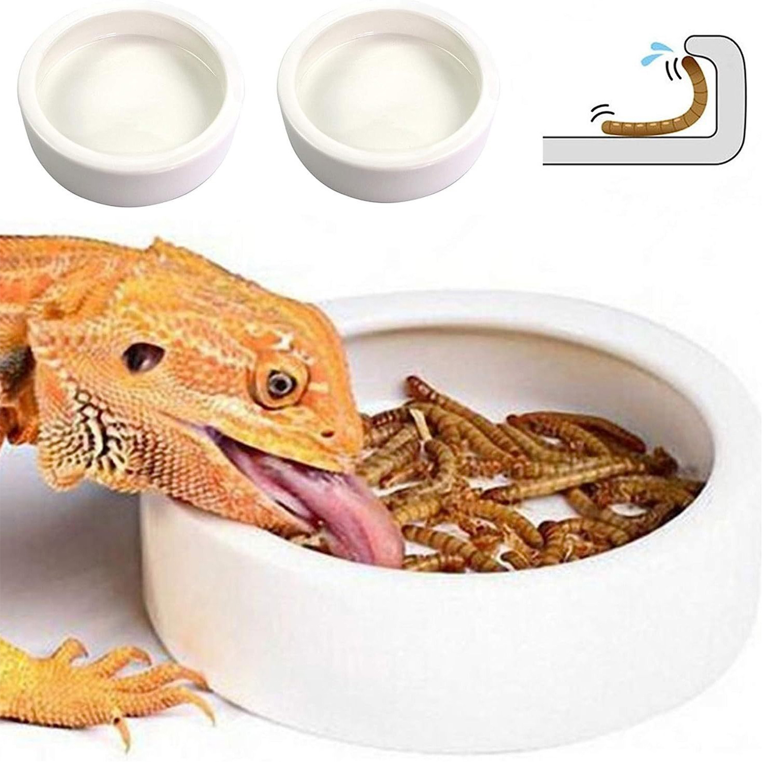 Water Dish Reptile - Reptile Food Bowl Feeding and Watering