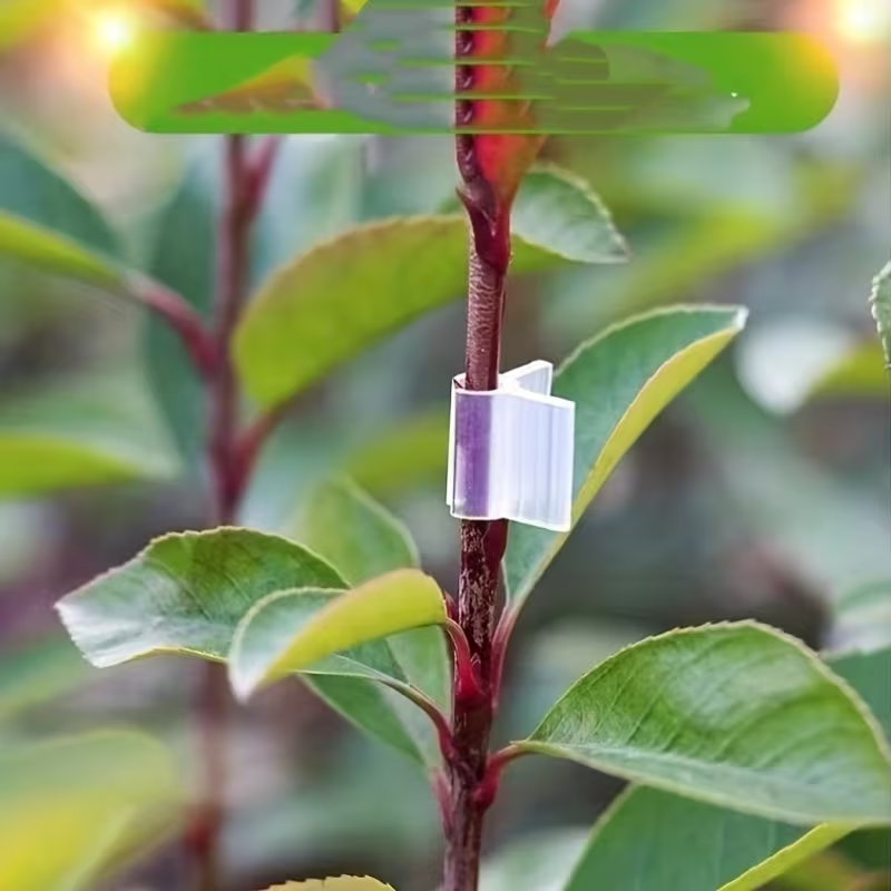 Vine Climbing Plastic - 50pcs Agriculture Grafting Clips Plant Support