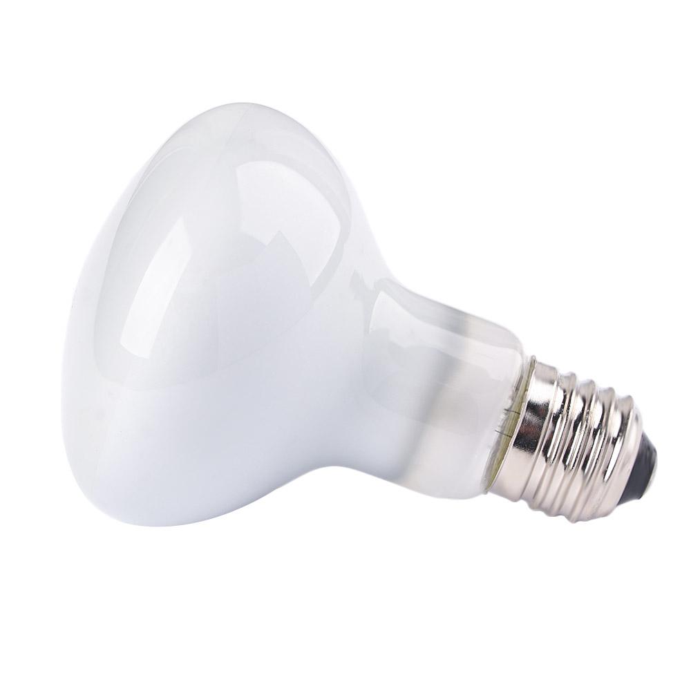 Lizard Heater Heat Lamp UVA Li - Basking Bulb Halogen review and price