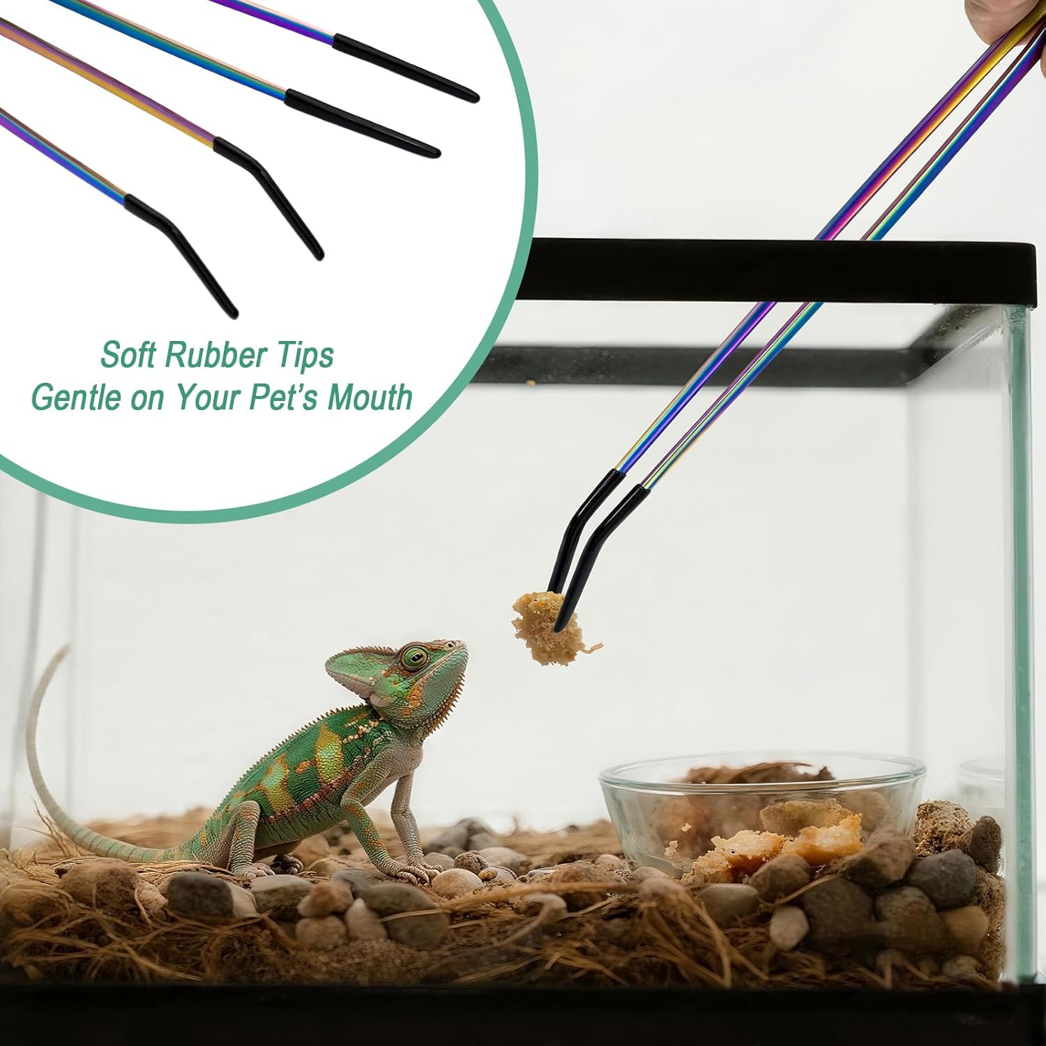 2PCS Stainless Steel Reptile F - Feeding Tong Stainless review and price