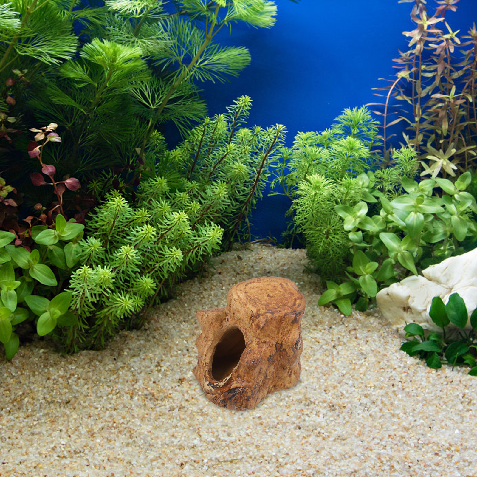 Premium Ceramic Aquarium Caves - Hide Cave Ceramic review and price