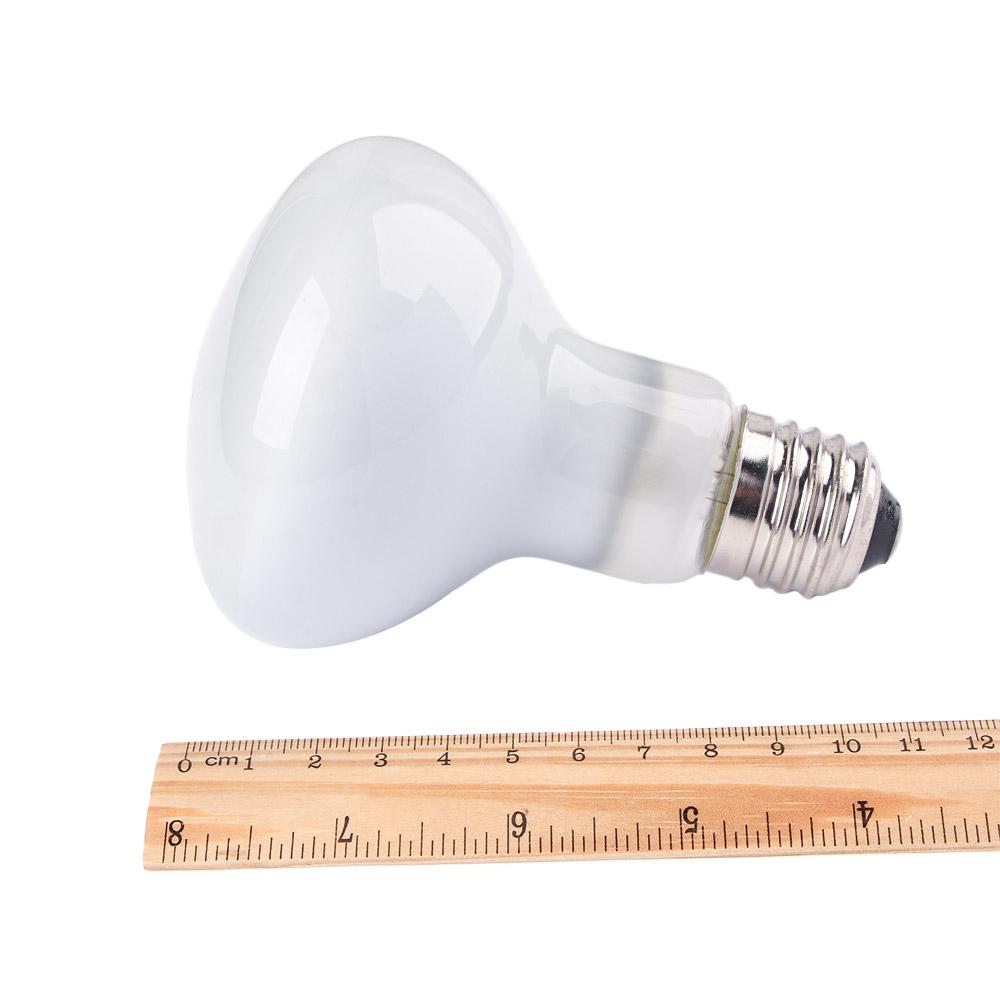 Lizard Heater Temperature Cont - Basking Bulb Halogen review and price