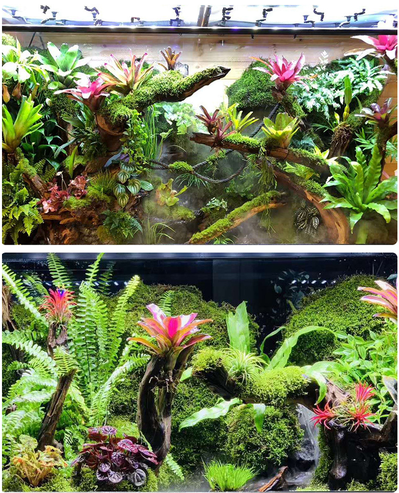 MINI Adjustable Reptile Fogger - Misting Nozzle Reptile review and price