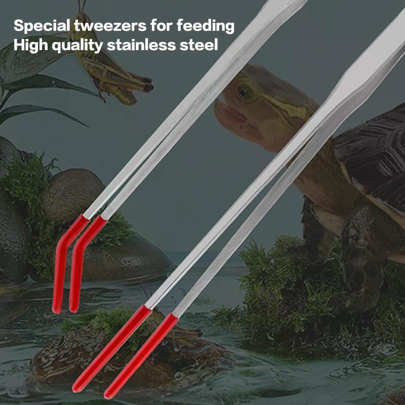 Stainless Steel Reptile Feedin - Feeding Tong Stainless review and price