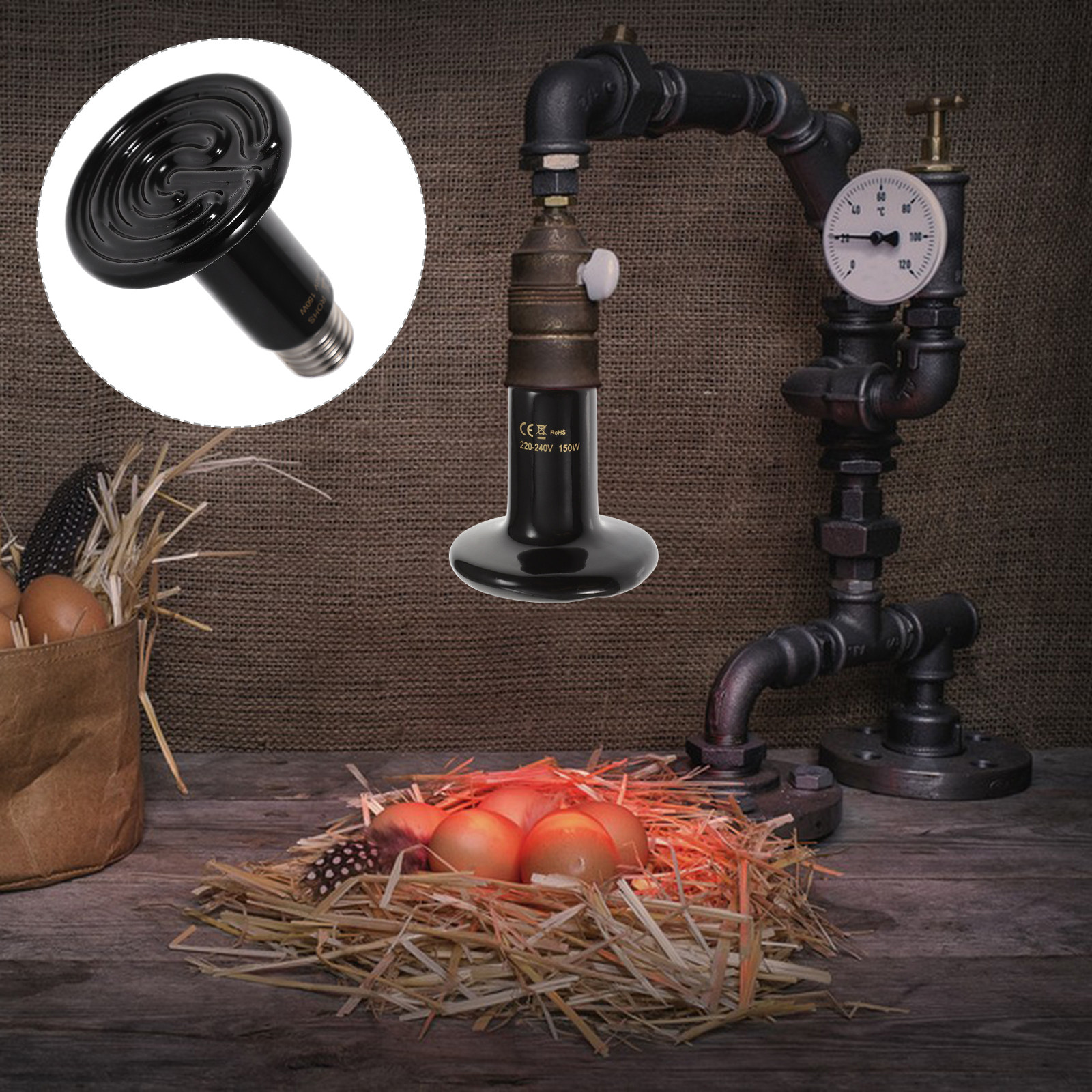 1Pcs Solid Ceramic Heater Lamp - Ceramic Heat Emitter review and price