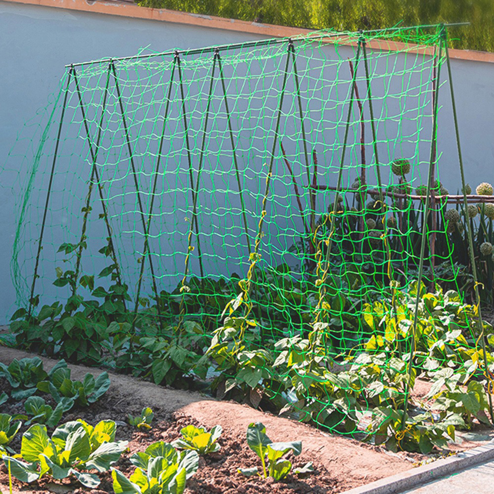 Garden Netting Plant Vine Grow - Vine Climbing Plastic review and price