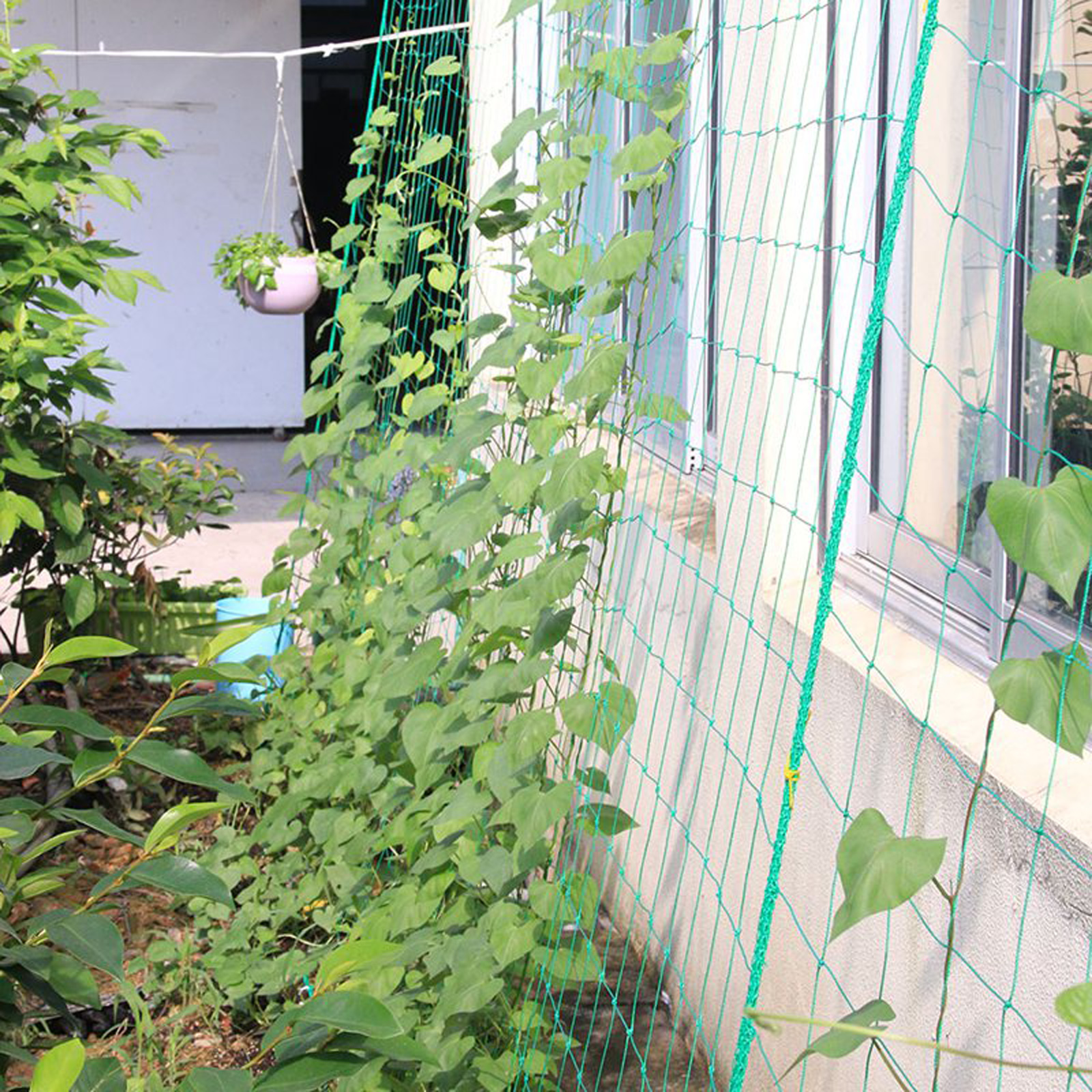 Garden Netting Plant Vine Grow - Vine Climbing Plastic review and price