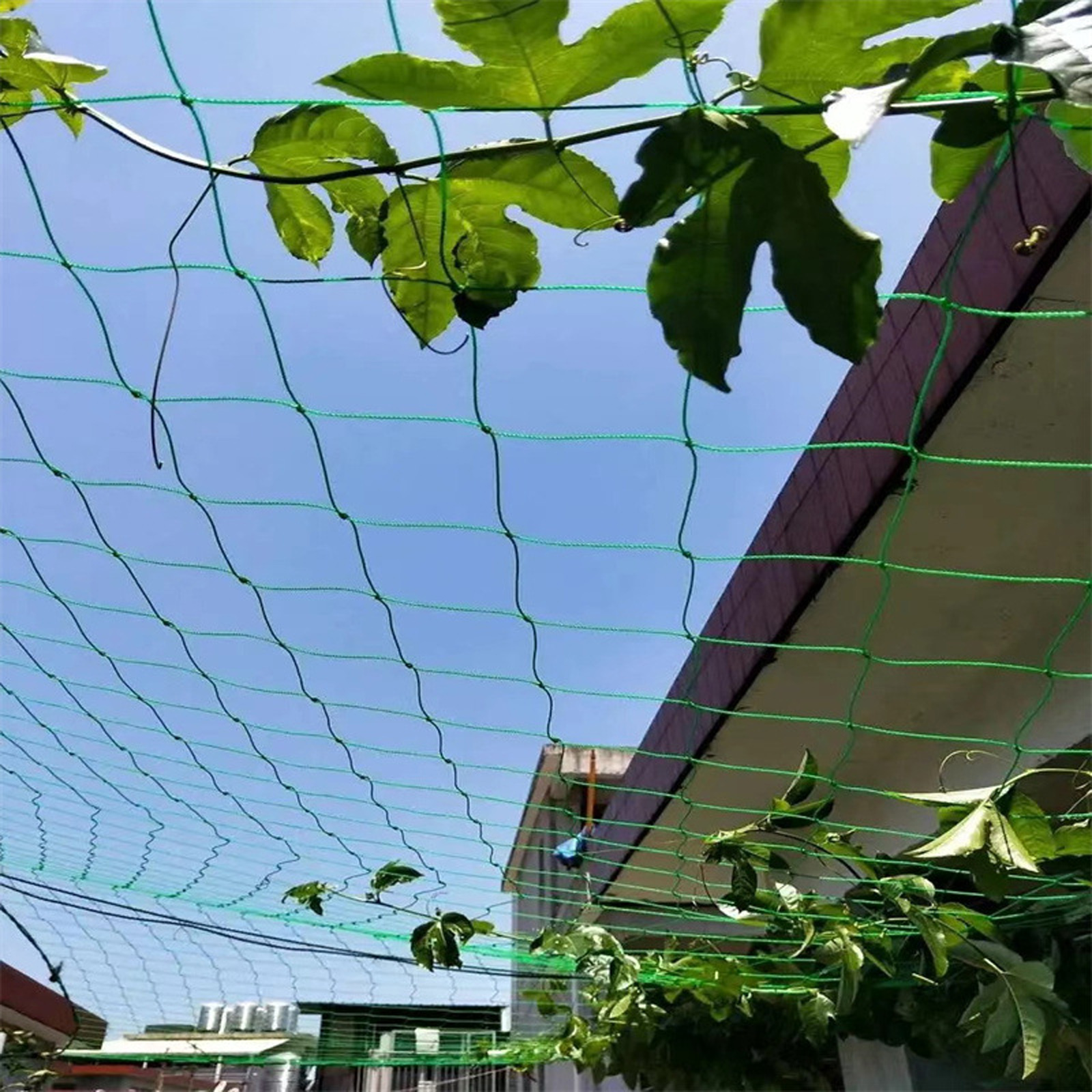 Garden Netting Plant Vine Grow - Vine Climbing Plastic review and price