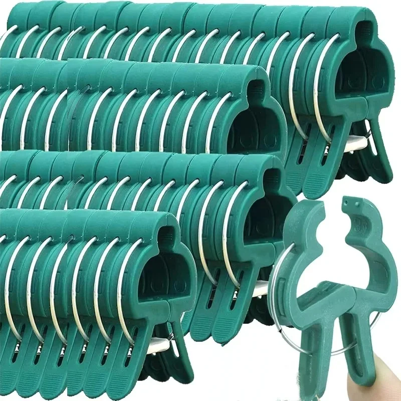 Plant Fixed Clips Reusable Gar - Vine Climbing Plastic review and price