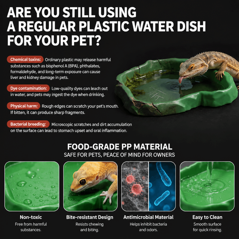 ABS Resin Reptile Feeder Bowl  - Water Dish Reptile review and price