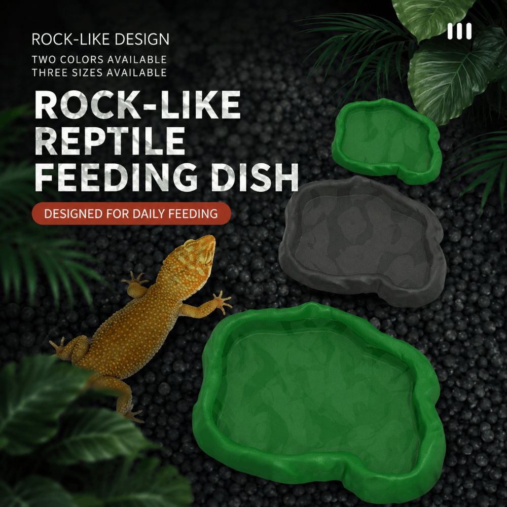 ABS Resin Reptile Feeder Bowl  - Water Dish Reptile review and price
