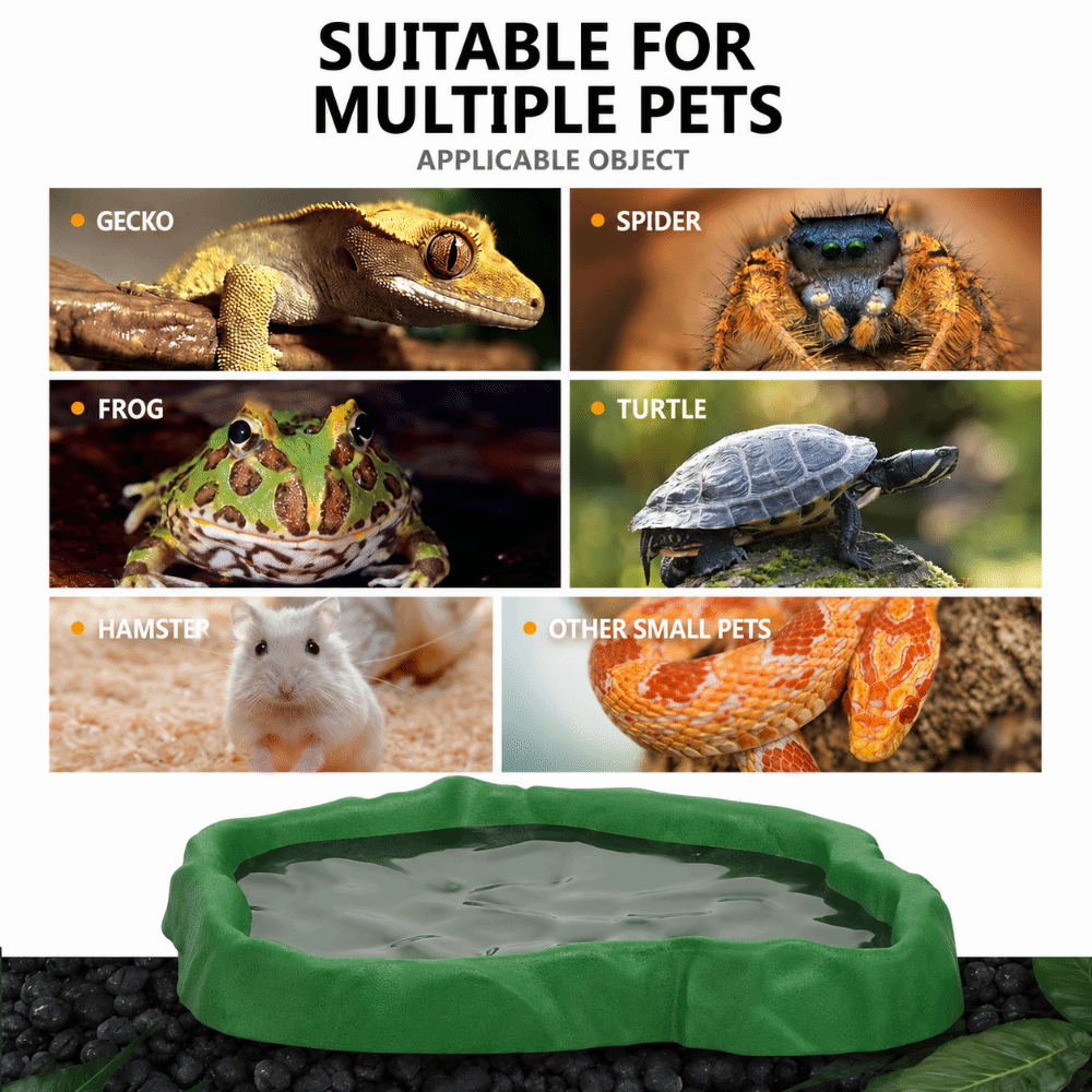 ABS Resin Reptile Feeder Bowl  - Water Dish Reptile review and price