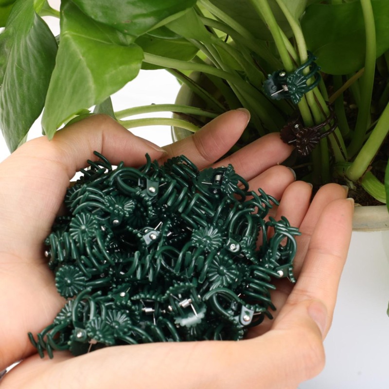 Wholesale Mini Plant Support C - Vine Climbing Plastic review and price