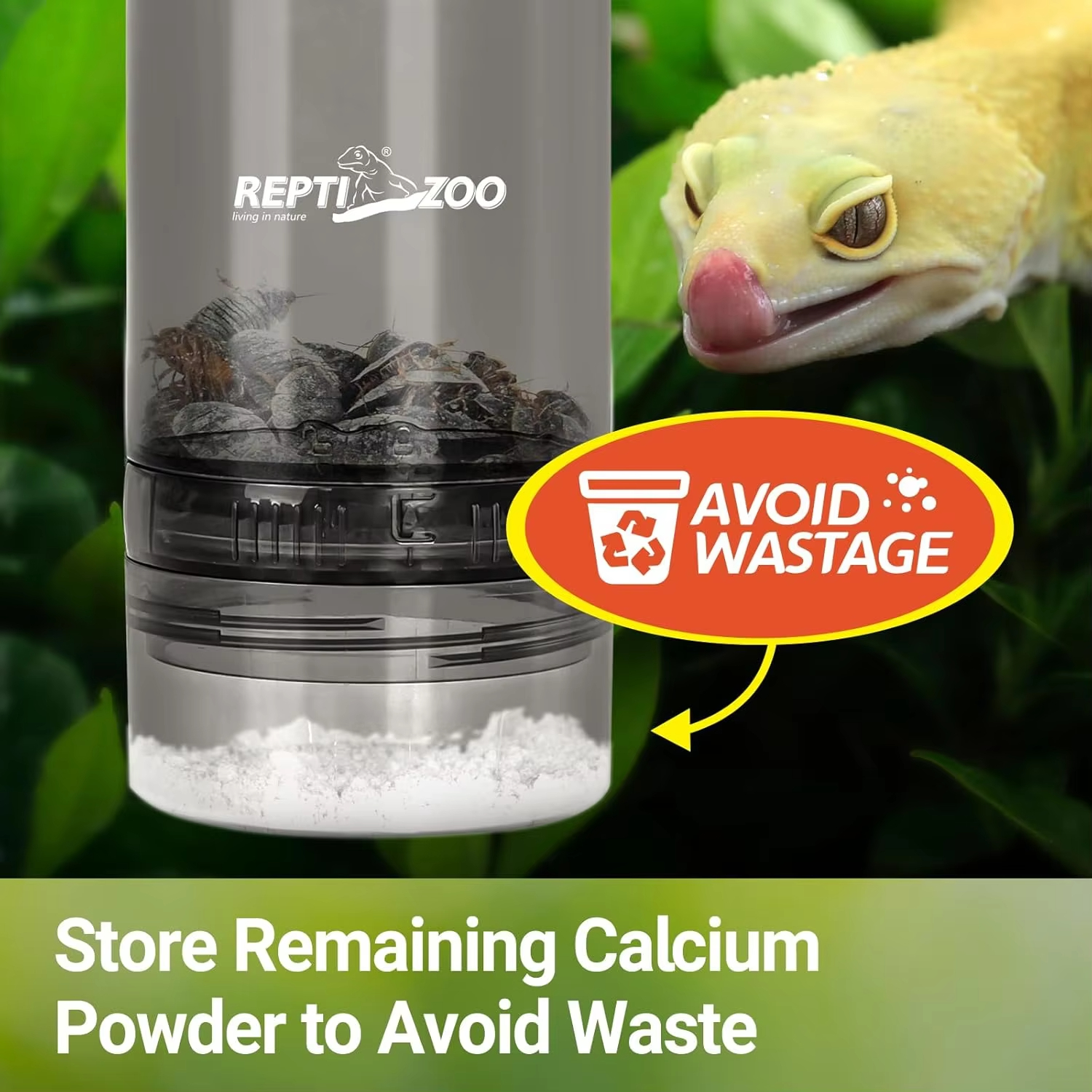 Reptile Calcium Powder Mixing  - Calcium Powder Reptile review and price