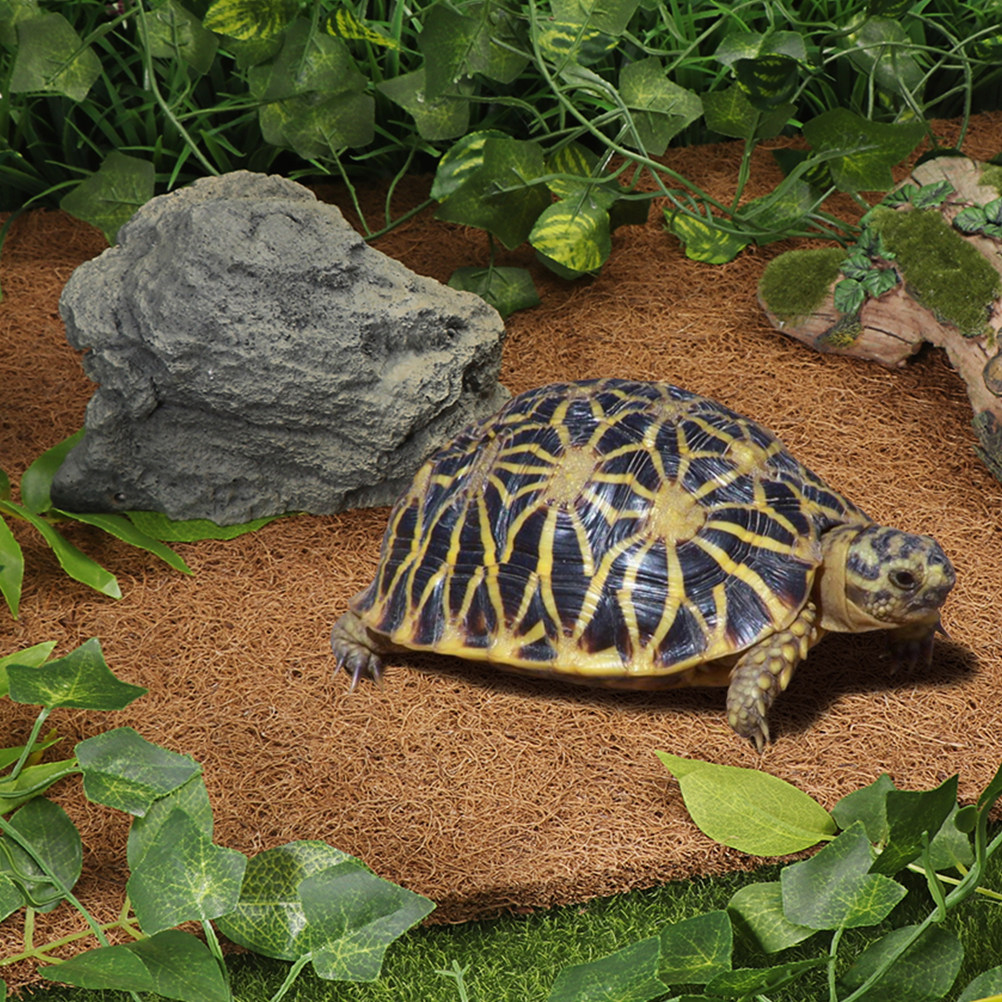 Terrarium Bedding Carpet Natur - Substrate Coconut Fiber review and price