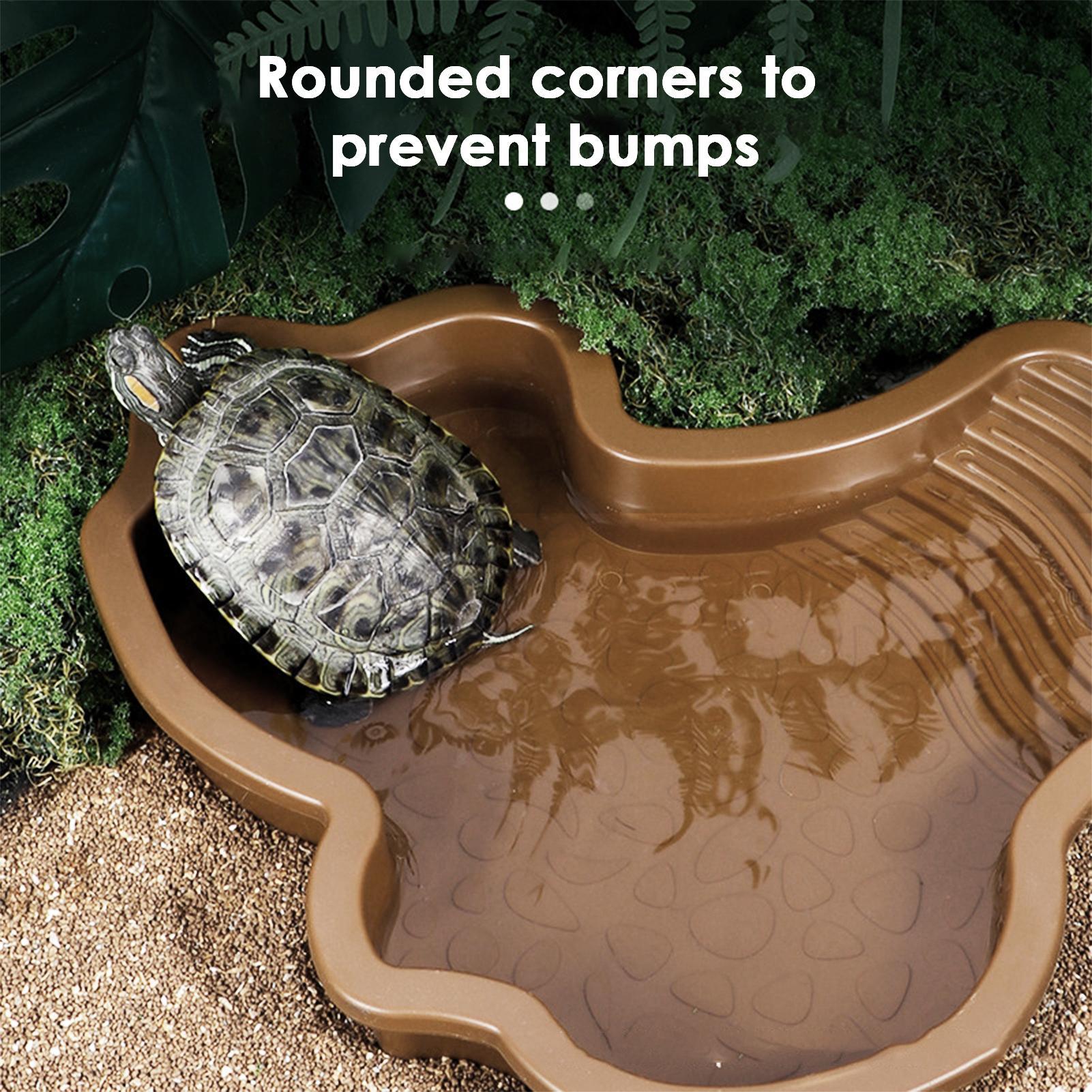Reptile Bathing Pool with Ramp - Water Dish Reptile review and price