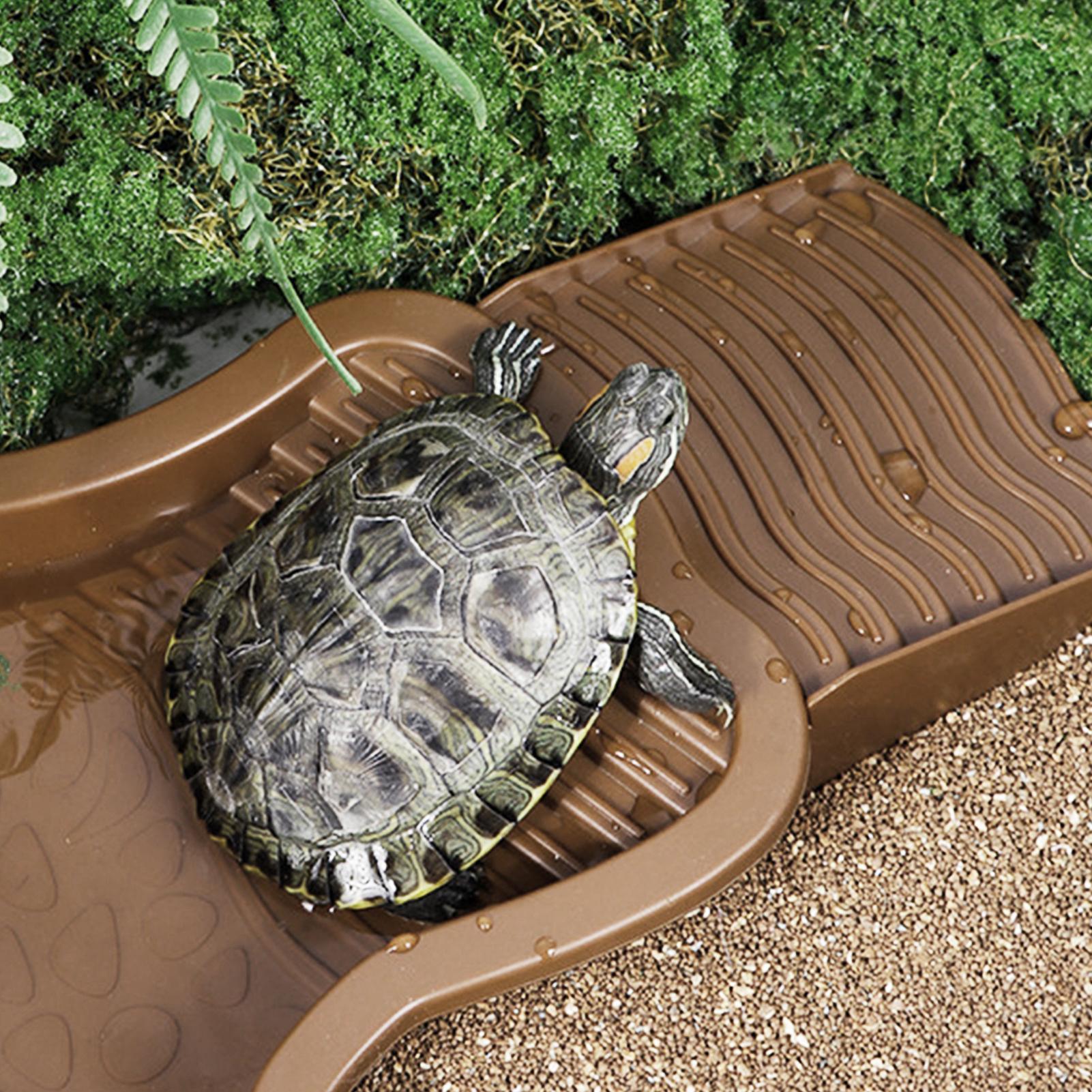 Reptile Bathing Pool with Ramp - Water Dish Reptile review and price