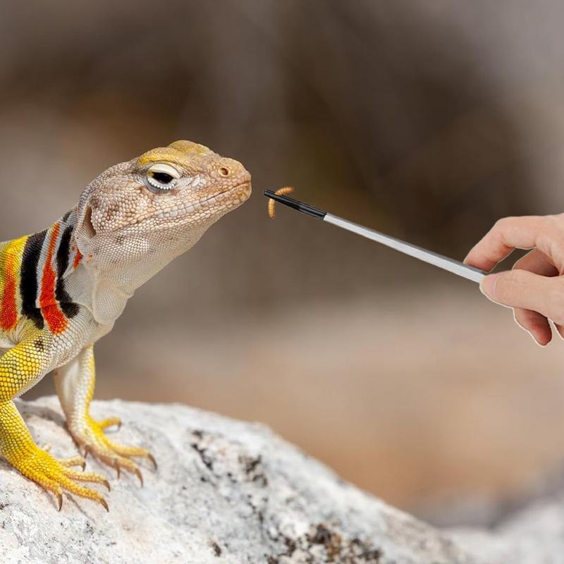 Extra Long Reptile Feeding Ton - Feeding Tong Stainless review and price