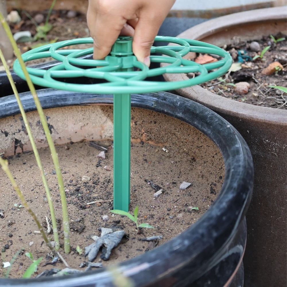 Durable S/M/L Bonsai Climbing  - Vine Climbing Plastic review and price