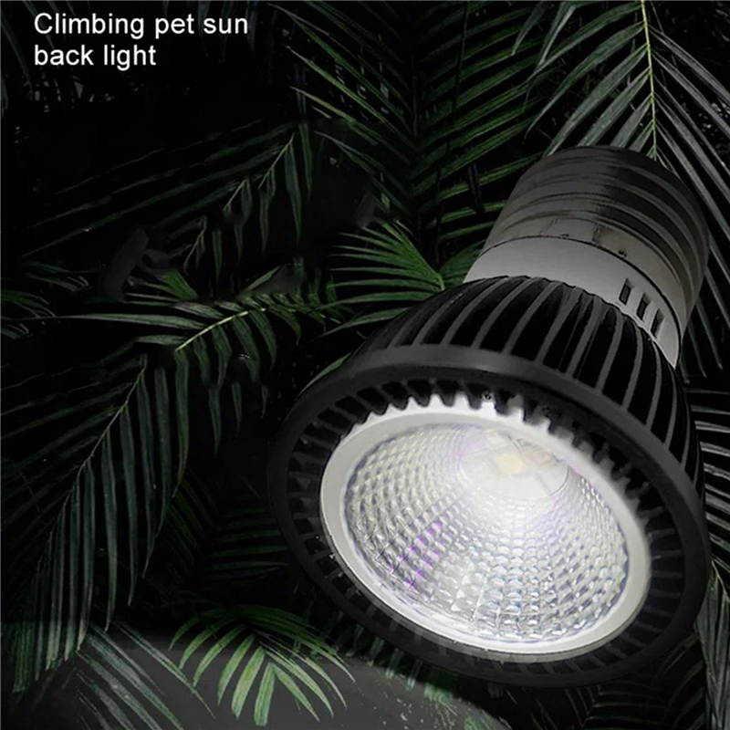 A03F-5X 110V Reptile UVB Light - Calcium Powder Reptile review and price