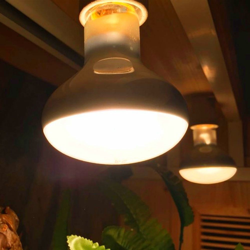 Turtle Temperature Controller  - Basking Bulb Halogen review and price