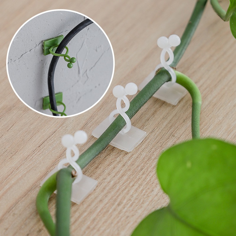 10Pcs Plant Wall Fixing Hooks  - Vine Climbing Plastic review and price