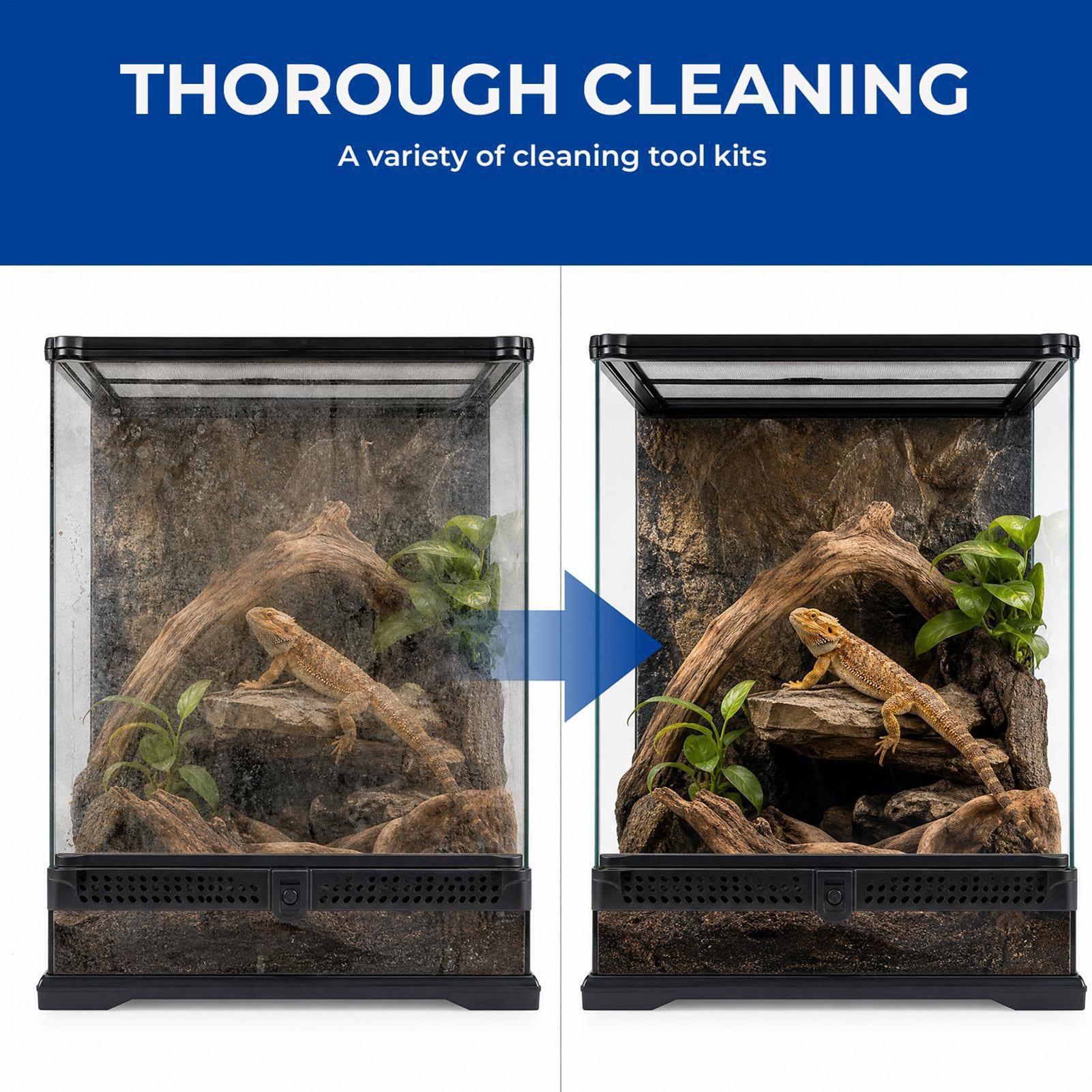 Bearded Dragon Tank Cleaning K - Feeding Tong Stainless review and price