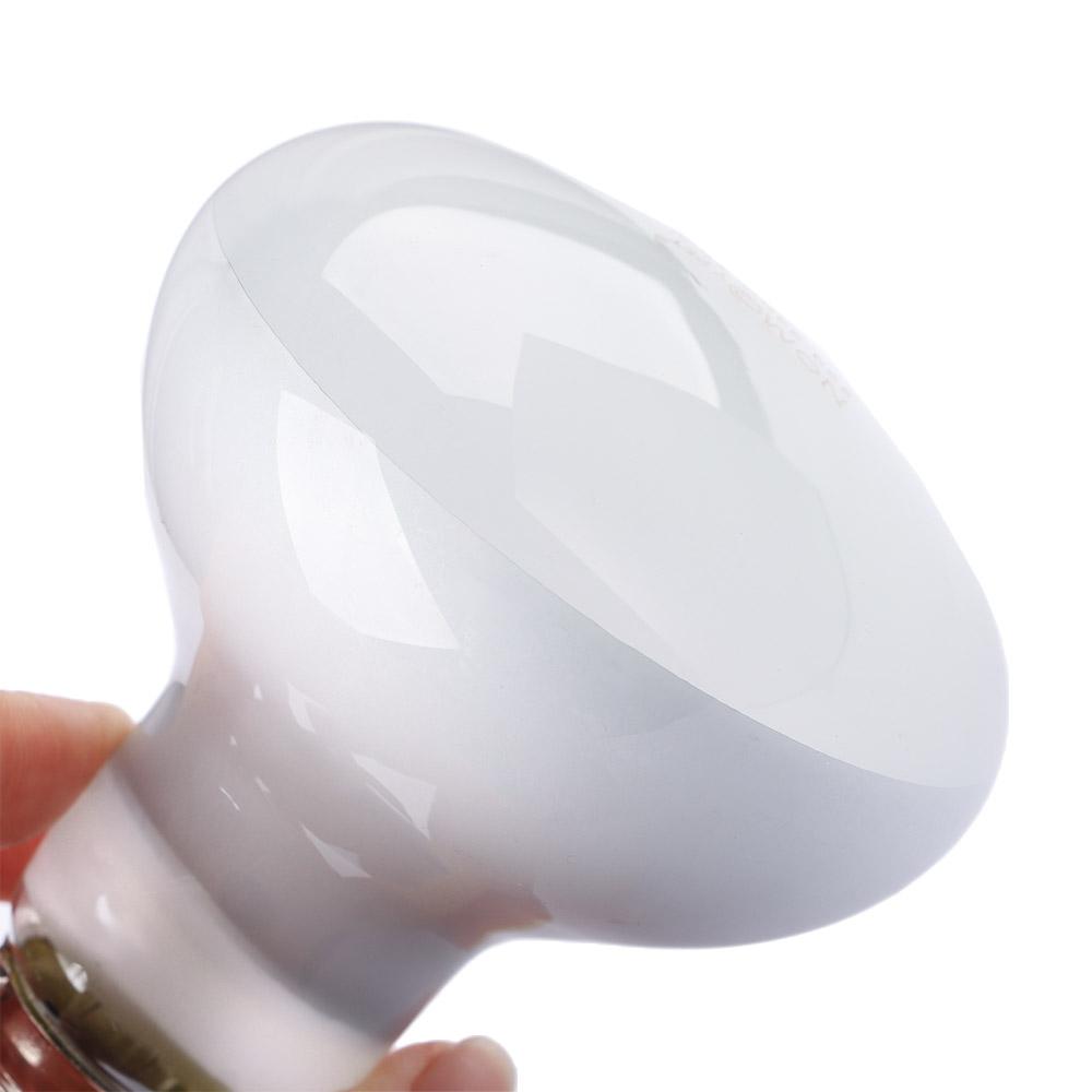 Turtle Heater Temperature Cont - Basking Bulb Halogen review and price