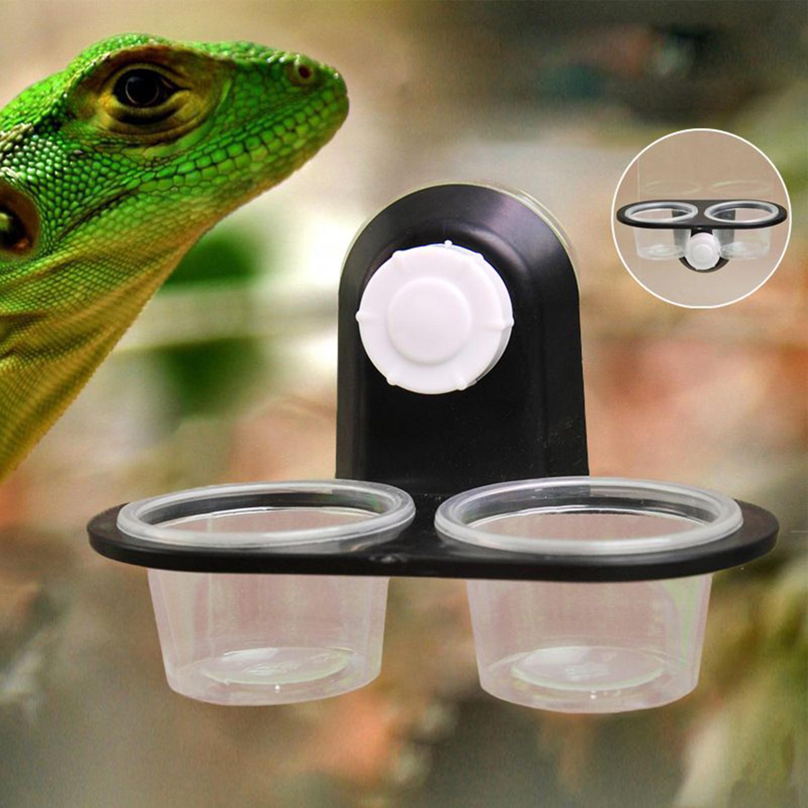 Gecko Food Dish Gecko Feeding  - Water Dish Reptile review and price