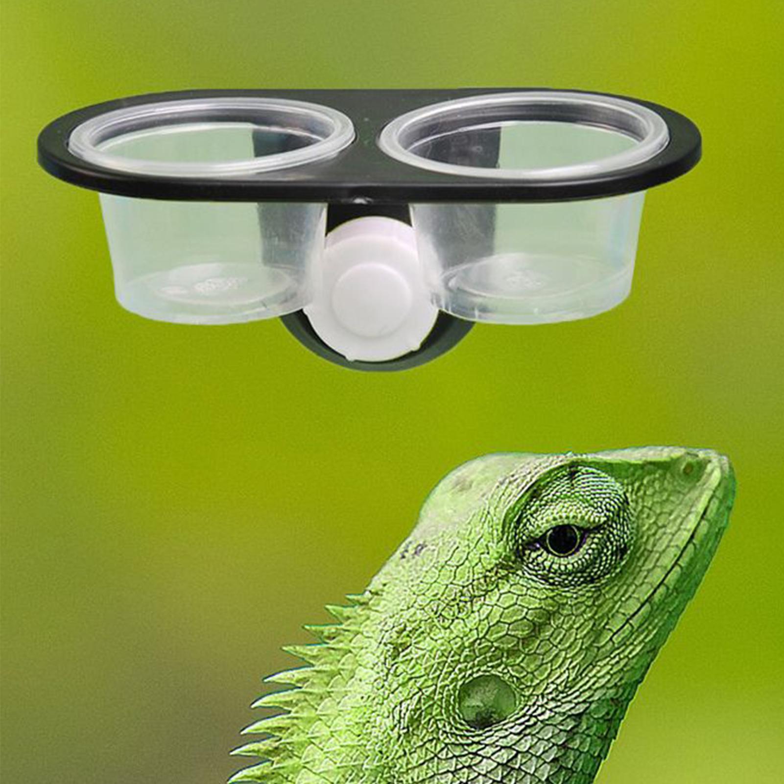 Gecko Food Dish Gecko Feeding  - Water Dish Reptile review and price