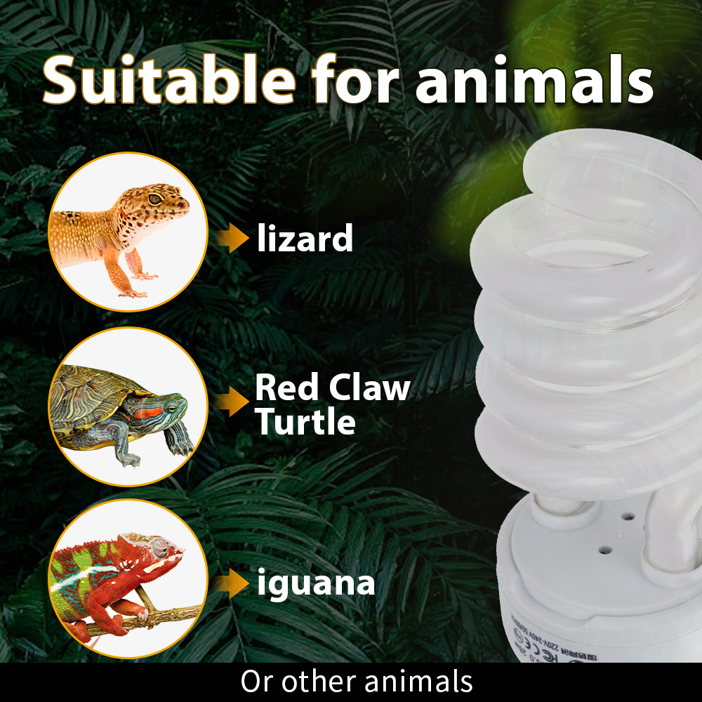 26W Pet Box Lamp Calcium Suppl - Calcium Powder Reptile review and price