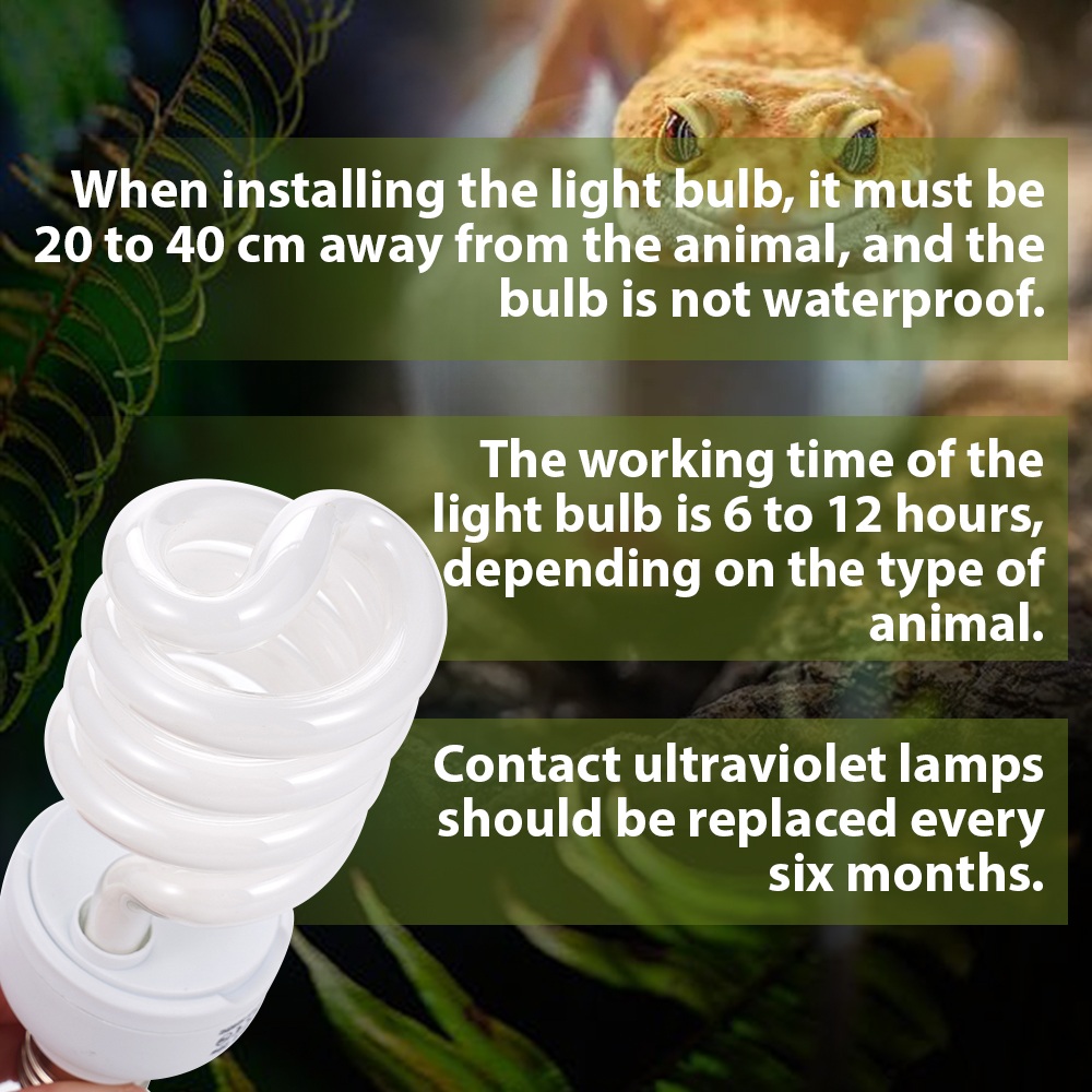 26W Pet Box Lamp Calcium Suppl - Calcium Powder Reptile review and price