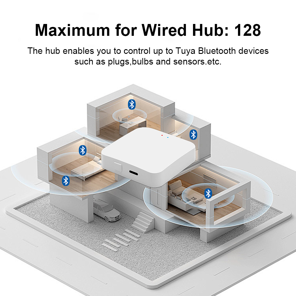 Tuya Bluetooth Gateway Hub or  - Digital Hygrometer Probe review and price
