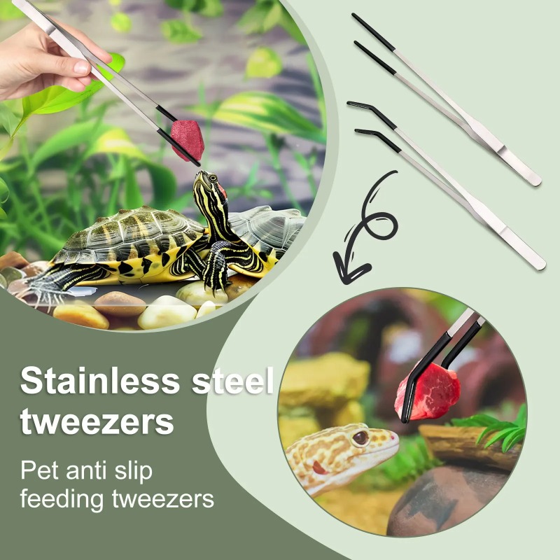 2Pcs Stainless Steel Tweezers  - Feeding Tong Stainless review and price