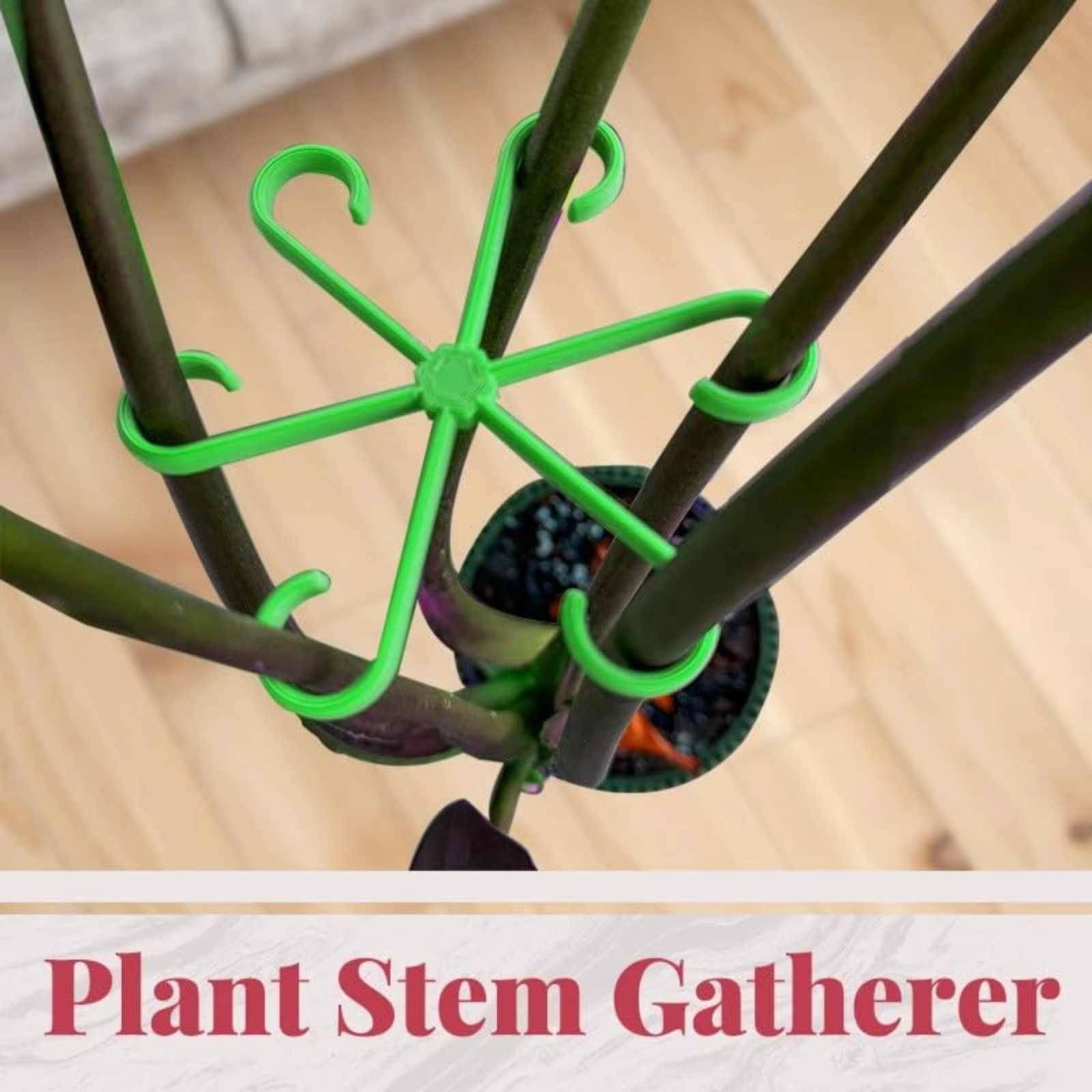Adjustable Plant Support Stake - Vine Climbing Plastic review and price