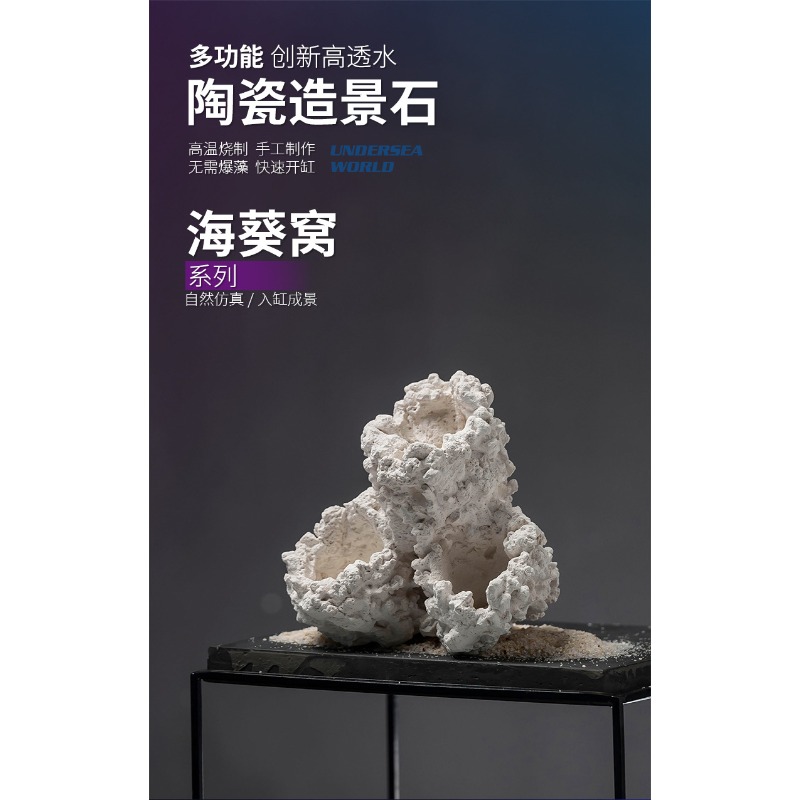 Glazed Ceramic Anemone Ornamen - Hide Cave Ceramic review and price