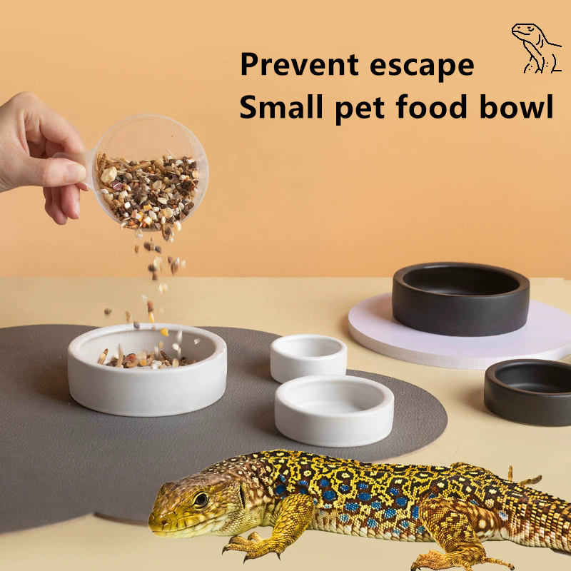 HOT! Reptile Food Bowl Anti-Es - Water Dish Reptile review and price