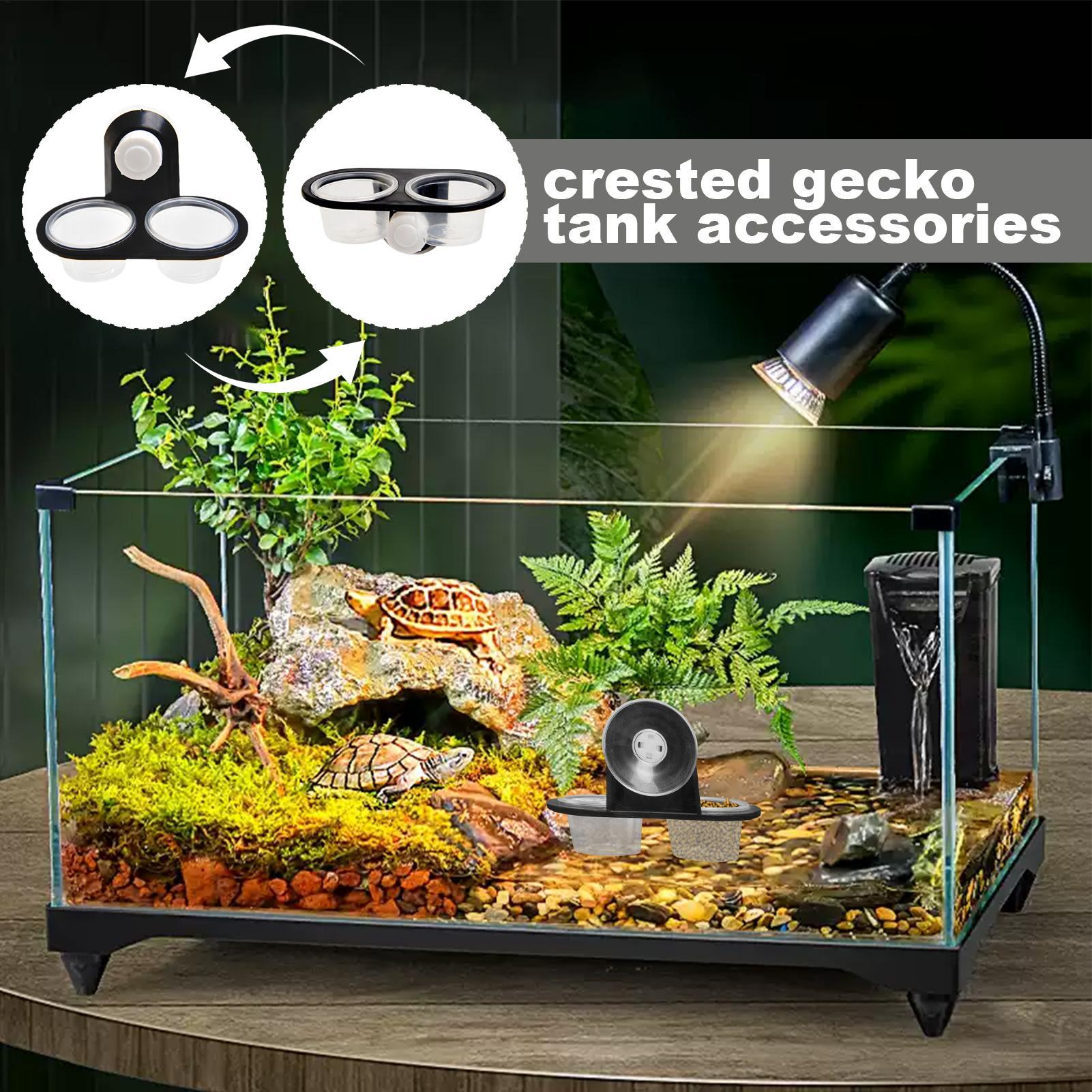 Gecko Feeder Ledge with Detach - Water Dish Reptile review and price