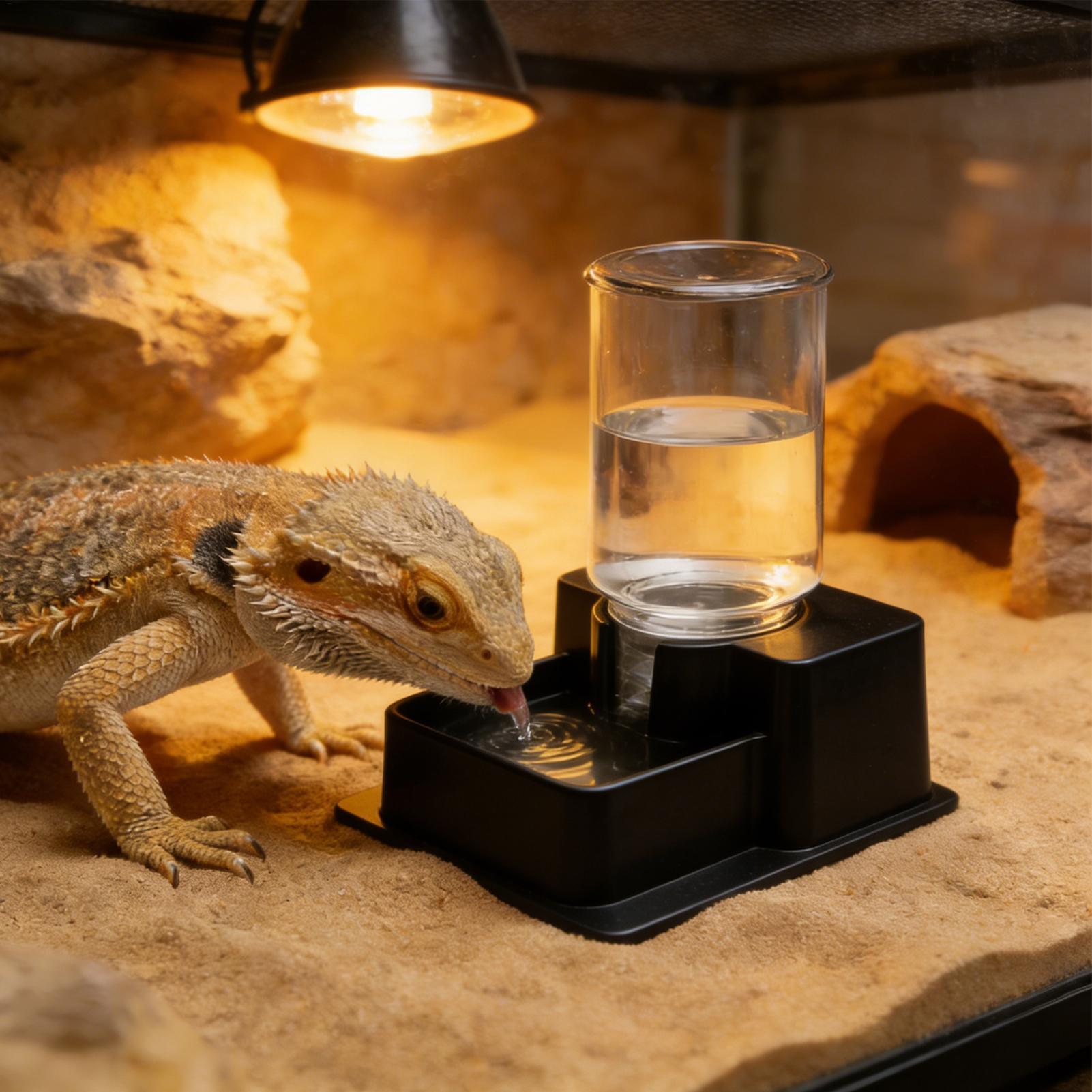 Bearded Dragon Water Fountain  - Water Dish Reptile review and price