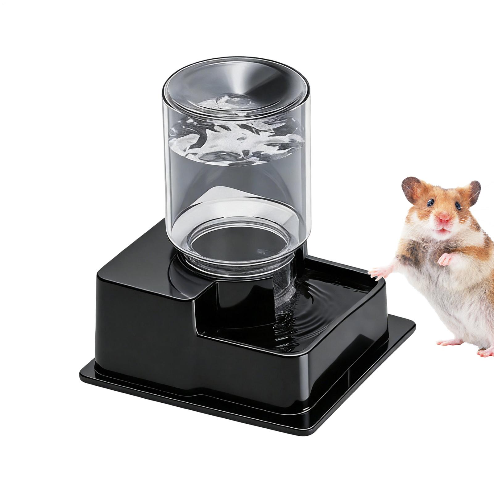 Bearded Dragon Water Fountain  - Water Dish Reptile review and price