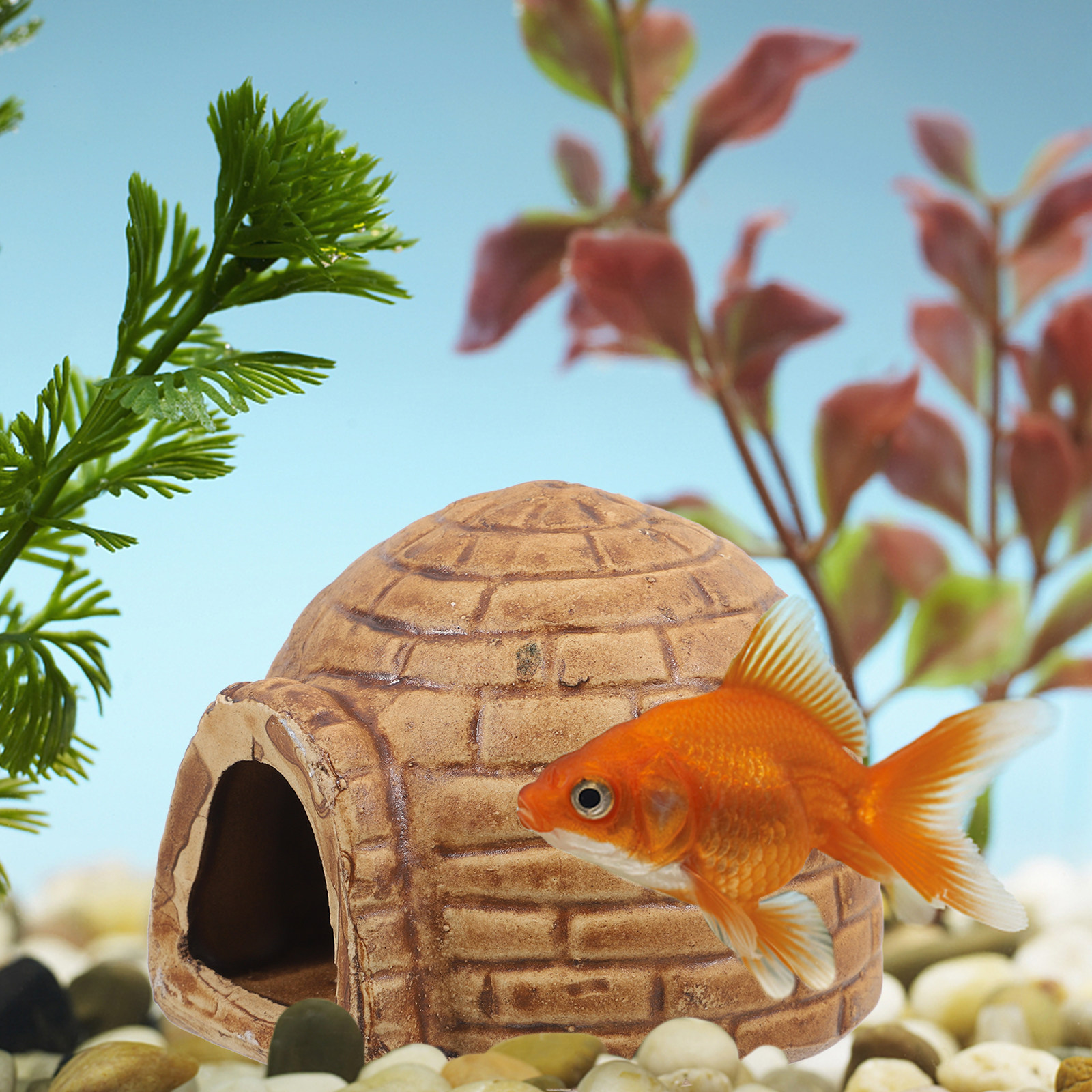 Ceramic Pleco Caves for Aquari - Hide Cave Ceramic review and price