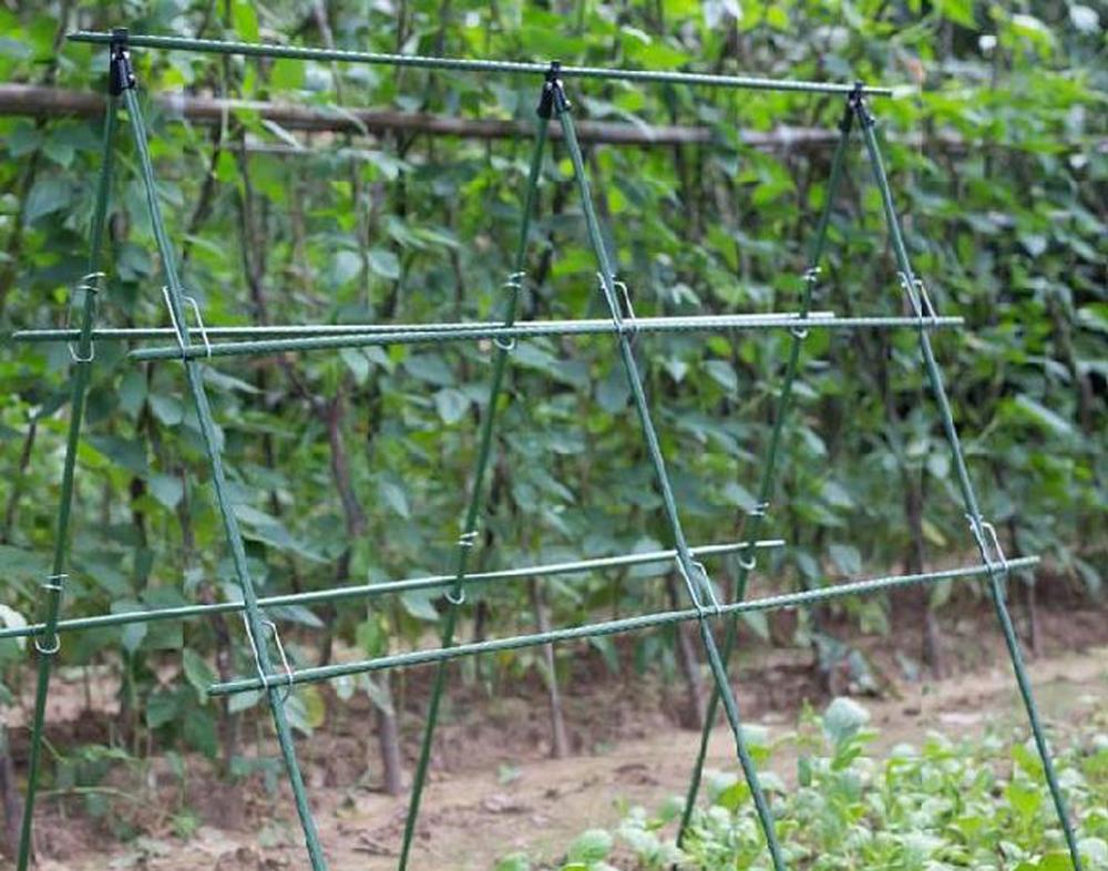 Diameter 8/11/16mm Plant Suppo - Vine Climbing Plastic review and price