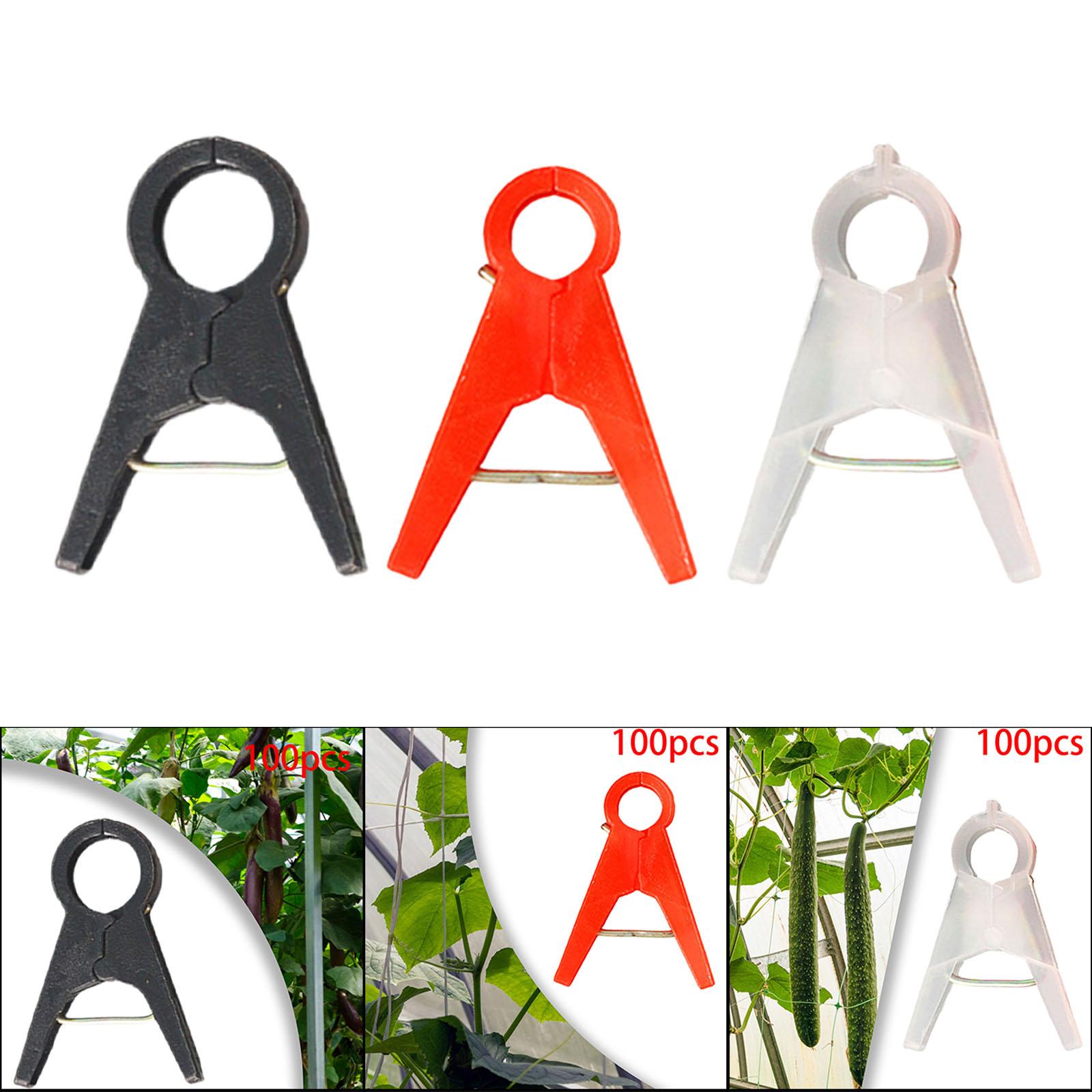 100Pcs Garden Plant Support Cl - Vine Climbing Plastic review and price