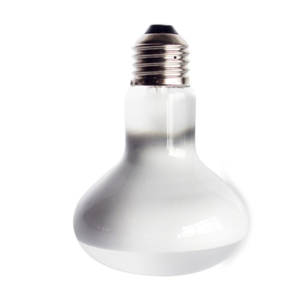 Turtle Temperature Controller  - Basking Bulb Halogen review and price
