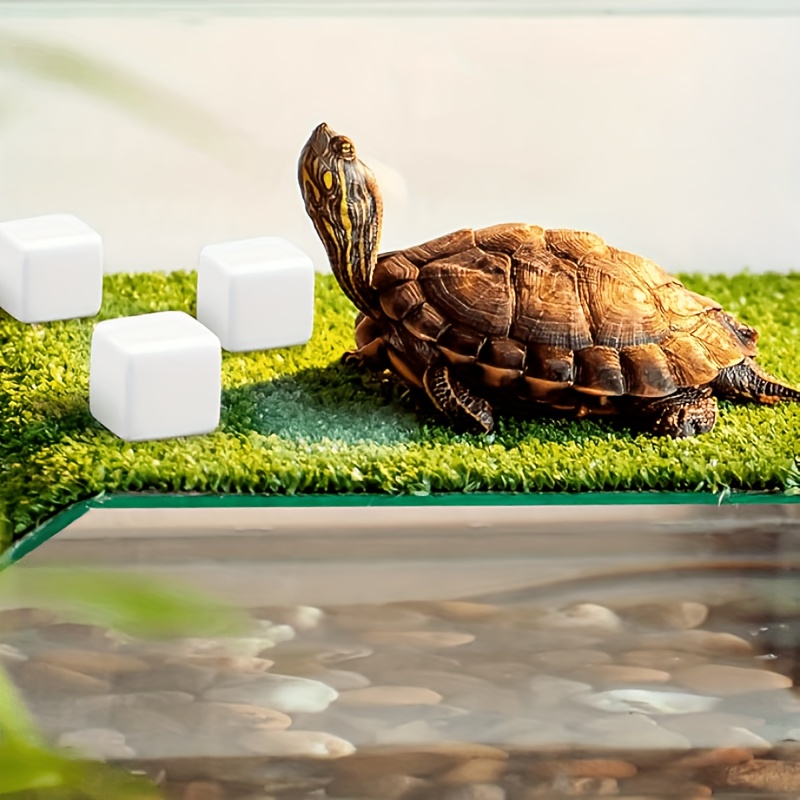 6 Pcs Fish Tank Calcium Block  - Calcium Powder Reptile review and price