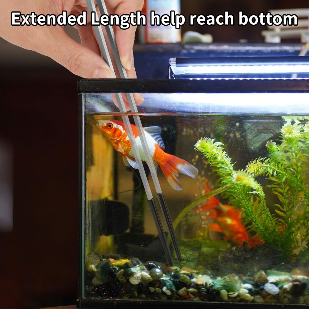 Stainless Steel Aquarium Feedi - Feeding Tong Stainless review and price