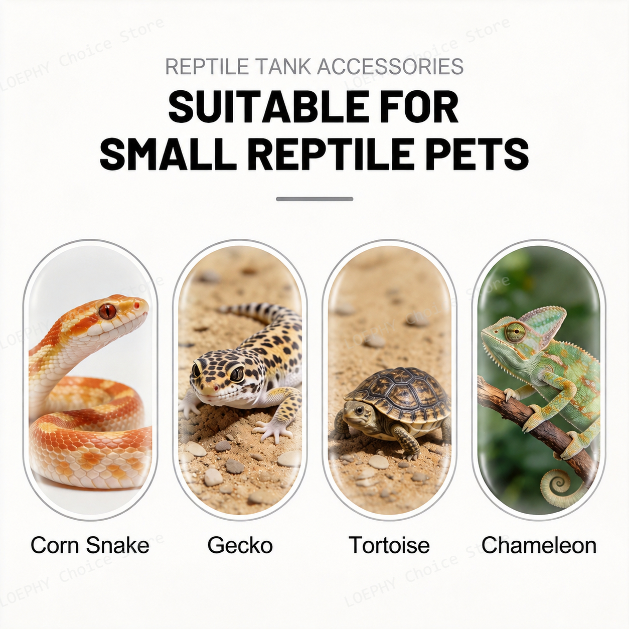 Castle Reptile Water Bowl Lion - Water Dish Reptile review and price